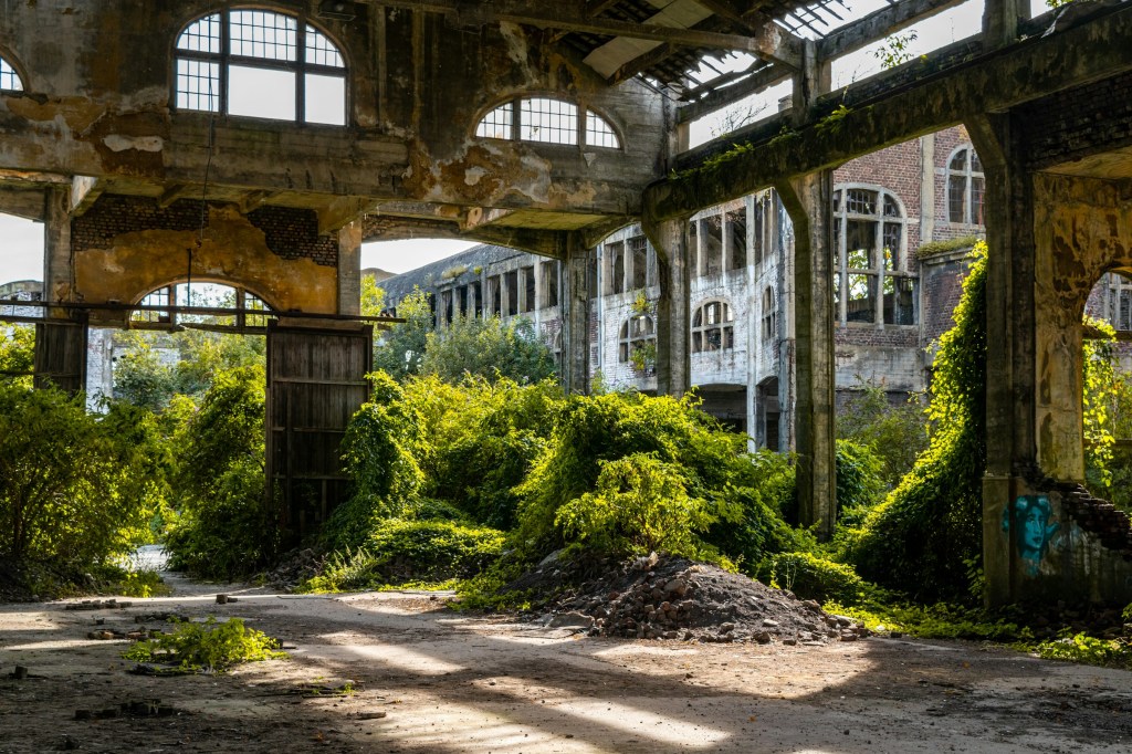 Beauty in the Ruins: The Quiet Allure of a World Falling Apart